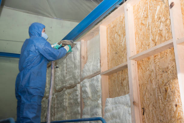Best Insulation Contractors for Homes  in Laurel, MS