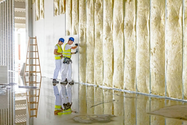 Insulation Inspection Services in Laurel, MS